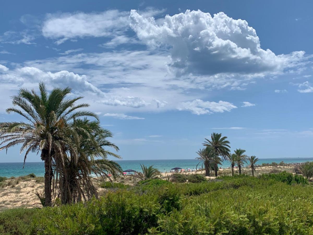 Villas Luxe Beach Puerto Marino Extérieur photo